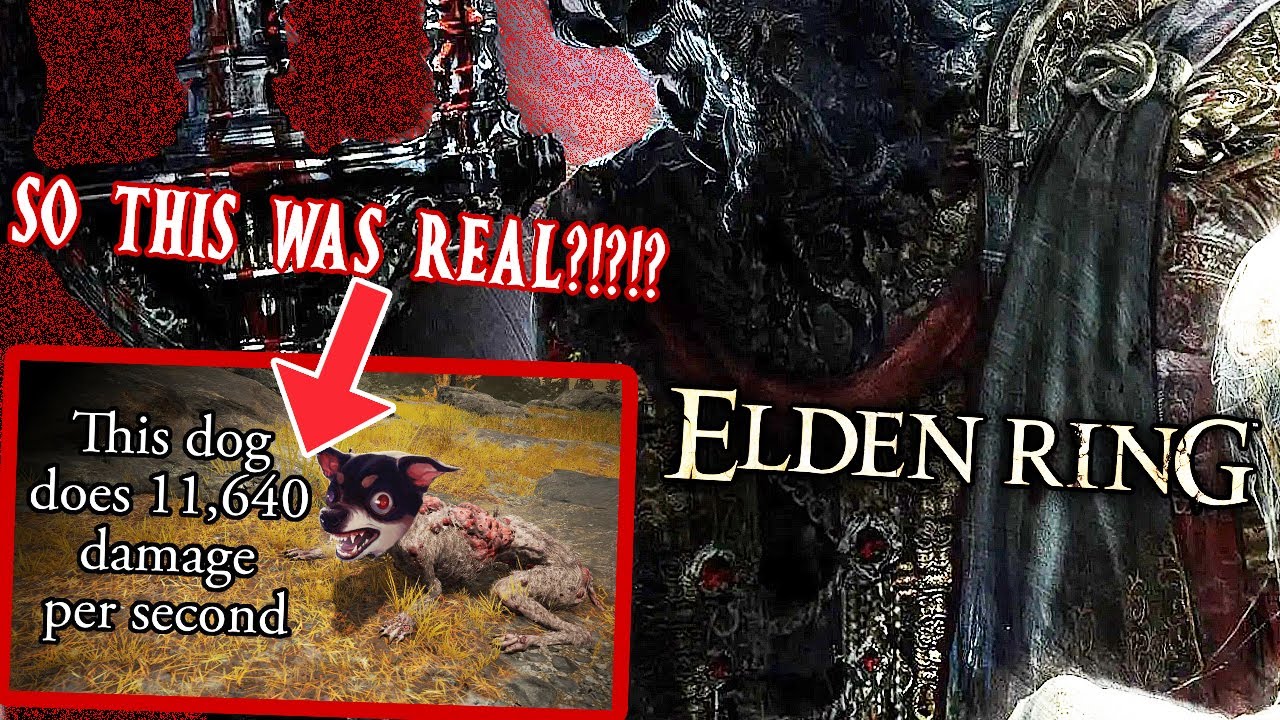 FIRST Encounter With 11,000 Damage Dogs & MOHG, Lord Of Blood Elden