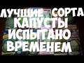 КАПУСТА !!!  ЛУЧШИЕ СОРТА ПРОВЕРЕННО 100%