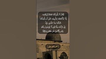 سورة يوسف الآية ٣٧ بصوت الشيخ محمد صديق المنشاوي