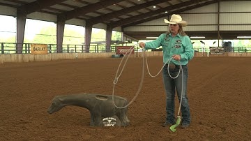 BreakawayRoping.com: Breakaway Roper