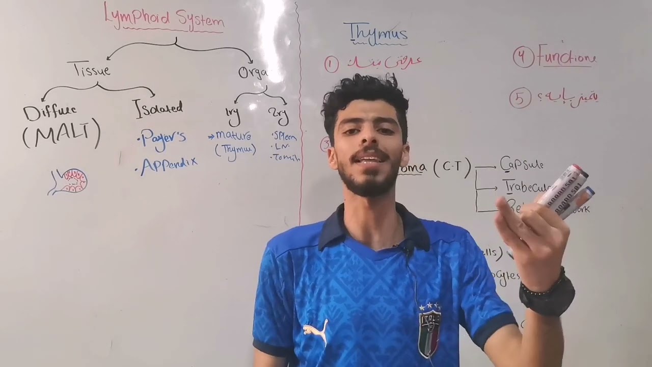 Blood Module 1 (Thymus)