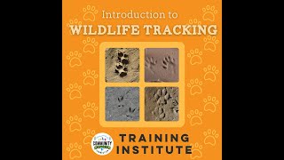 Intro to Wildlife Tracking screenshot 5