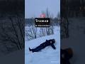 Tromsø In December Northern Lights Snowy Streets Christmas Magic Klook Code PIYUSHH04 