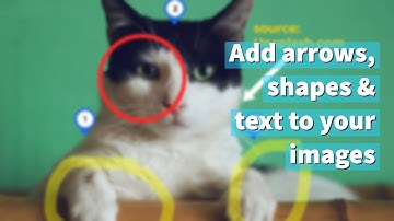 Zoho Annotator: The best image annotator I have used