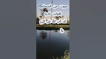صوت من السماء 16 # تلاوة نادرة #قرآن #قران_كريم #قران #قرآن_كريم #اكسبلور #الشيخ مبارك  #الشيخ