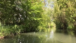 Les marais de Bourges, un paradis fragile