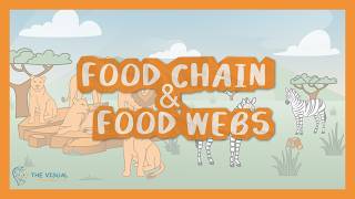 Food Webs and Food Chains | AP Environmental Science (APES Unit 1)
