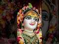 Darshan of Radha Madhav 💞❤️ #shotrs #radhakrishna #darshan #viralshorts