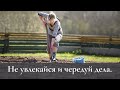 Не увлекайся и чередуй дела