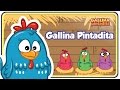 Gallina pintadita original  oficial  canciones infantiles para nios y bebs