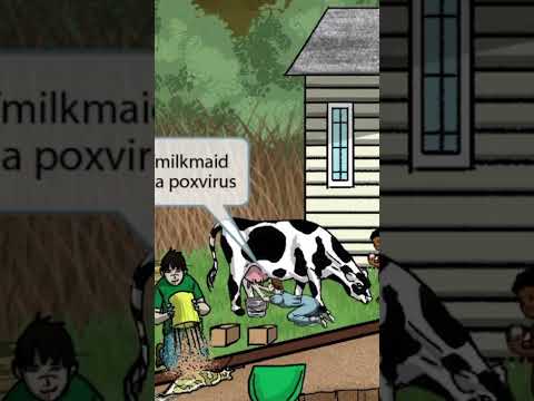 فيروسات الجدري فيروس الحمض النووي الذي يكسر جميع القواعد