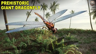 «Меганевра» — доисторическая стрекоза с размахом крыльев в два фута