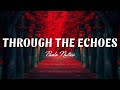 Paolo Nutini - Through The Echoes (Lyrics)