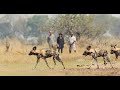 Ker &amp; Downey Botswana, Walking Safari