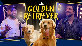 Le GOLDEN RETRIEVER by Esprit Dog 56,310 views 1 month ago 42 minutes