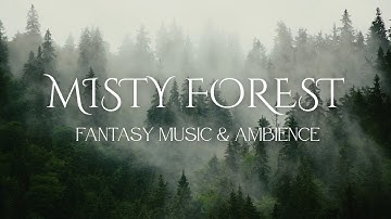 Misty Forest Ambience (NO MID ROLL ADS) | Fantasy Music for Reading, Sleep & Study