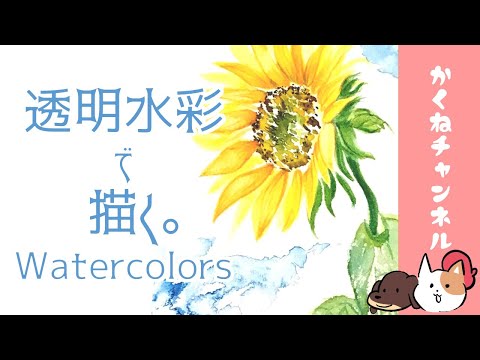 【字幕】watercolor drawing 透明水彩でひまわり描いてみた。watercolors/sunflower/水彩/描き方/向日葵/ヒマワリ