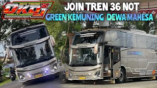 GREEN KEMUNING DEWA MAHESA 36NOT‼️X OKDJ 