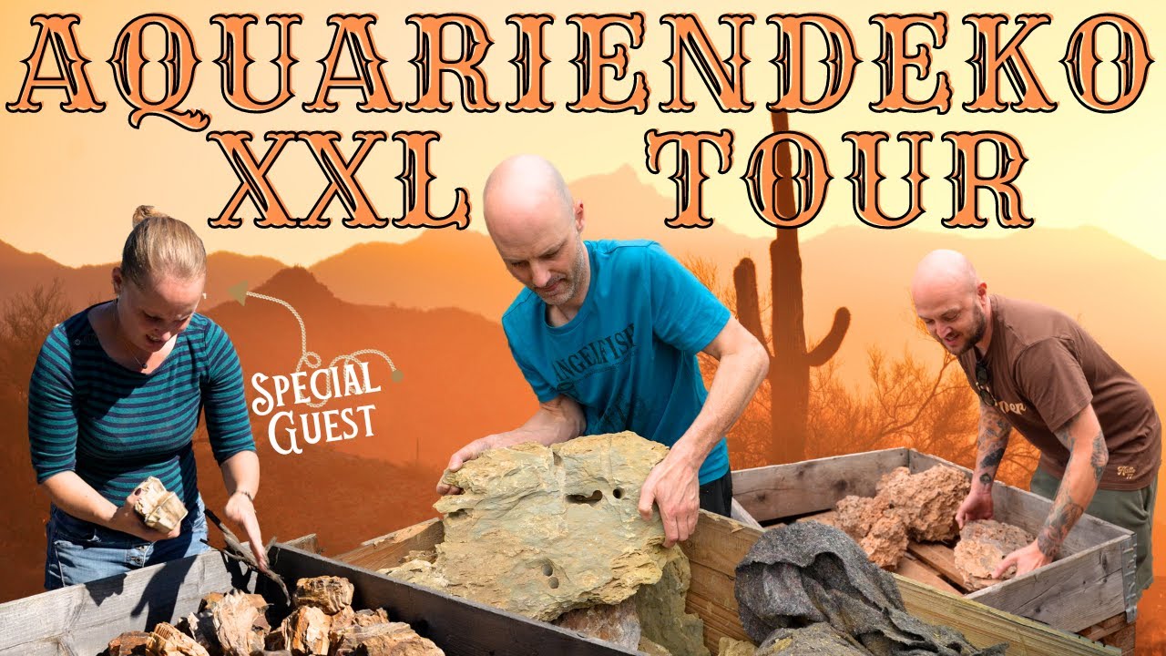 XXL Hardscape Shopping mit unserer Chefin | Dort kommt unser Aquarienkies und Hardscape her