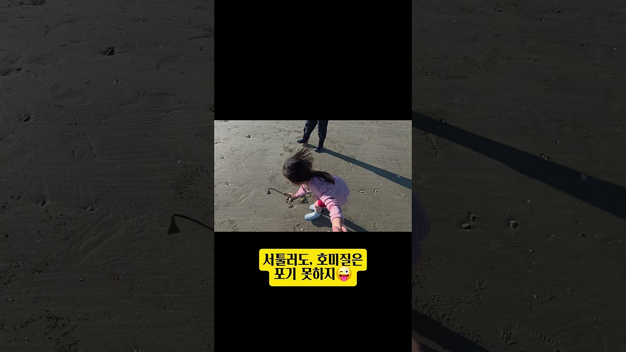 태안 청포대해수욕장, 조개 하나가 아이에겐 오늘의 전부였습니다