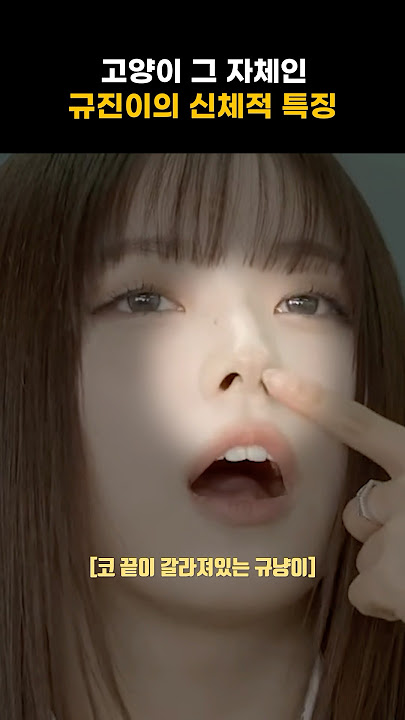 [엔믹스] 고양이 그 자체인 규진이 신체 특징 ㅋㅋㅋㅋ