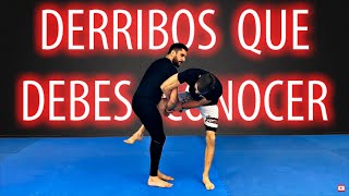 3 DERRIBOS a Una Pierna que DEBES CONOCER ▶ Para BJJ & MMA