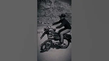 علي الحلال زلمة لمن دايخ 
