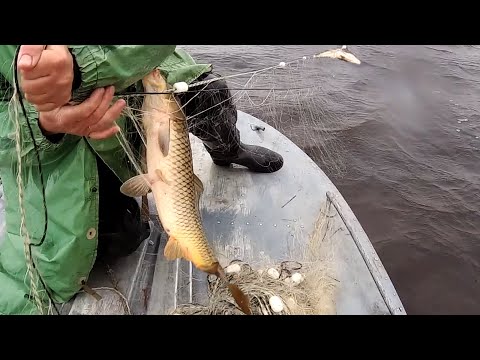 Сибирский Скиф Рыбалка Видео Новое 2022 Год