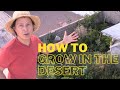 How to Have a Successful Garden in the Desert or Anywhere Top 10 Tips