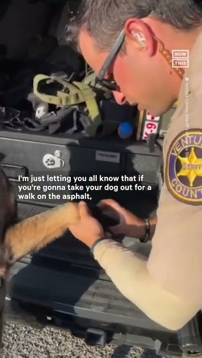 Officer Shares PSA to Protect Dogs Feet From Heat