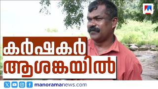 Malampuzha ഡാമിൽ ജലനിരപ്പ് താഴ്ന്നു;രണ്ടാംവിള നെൽകൃഷി പ്രതിസന്ധിയിൽ,കർഷകർ ആശങ്കയിൽ | Farming