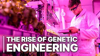 The Rise Of Genetic Engineering | GeneEditing Technology | Science Documentary
