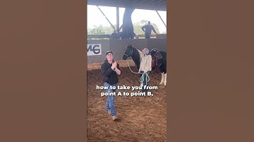 Finding The Holes In Your Horse’s Training! Part 2! | The Horse Guru - Michael Gascon