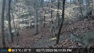 DSCF0345