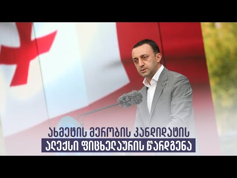 ახმეტის მერობის კანდიდატის ალექსი ფიცხელაურის წარდგენა