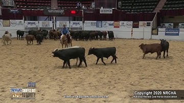 SJR Talkin Diamonds shown by Corey D  Cushing   2020 Snaffle Bit Futurity Open Futurity, Herd