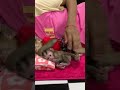 Adorable baby monkey #monkeylove #monkeybaby #adorable #adorablemonkey #babyanimal #monkeysmart