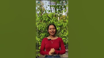 Verify your name on the electoral roll. Be a responsible voter! #ECI #elections2024 #SVEEP