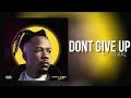 Lexsil Ft Jovial Don T Give Up Official Music Audio Sms Skiza 7302921 To 811 mp3