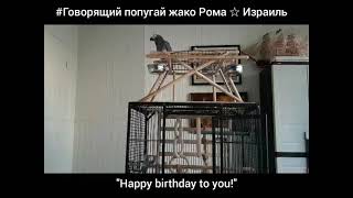 Попугай Рома поздравляет с Днём Рождения!