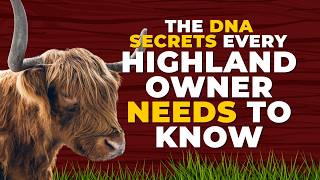 The DNA Test Mistakes Every Cattle Owner Makes