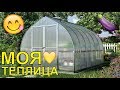 🔵 Мини-Обзор Моей Теплицы! 🥬