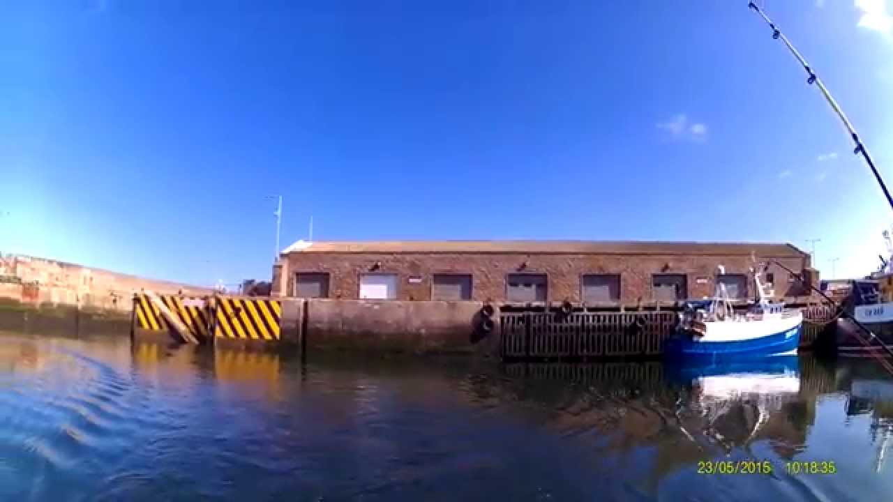 Cod Fishing Macduff Seacat May 2015