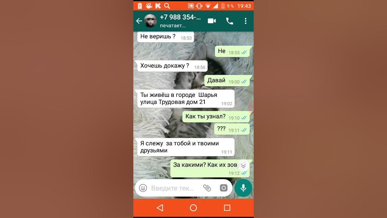 переписки страшные переписки. мистические переписки. страшные истории переписки. самые страшные переписки. самые страшные переписки.