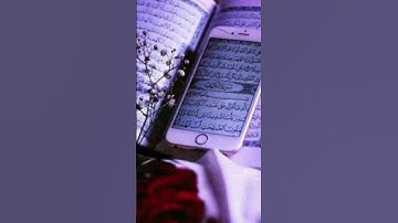 من بدائع القارئ أمين موسى. ج١٣