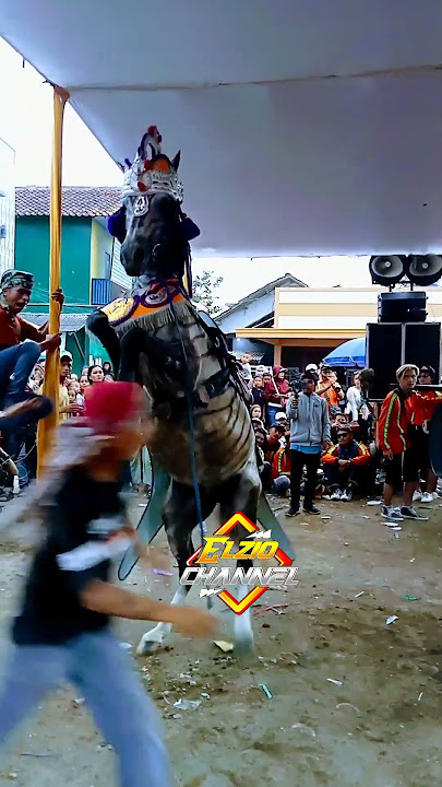 kuda renggong zebra unik bisa silat #shorts #kudarenggong #kudazebra #kudasilat