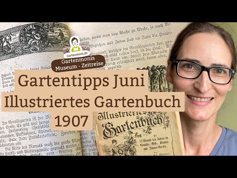 Video: Stiefmütterchen-Sorten für den Garten - Gängige Arten von Stiefmütterchen und ihre Unterschiede