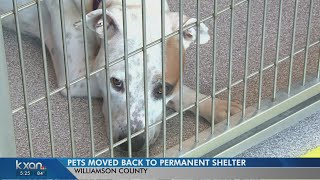 Pets back at Williamson County Regional Animal shelter after remodel