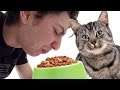 Cat food prank