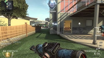 Most Random Kill Ever in Black Ops 2!? !